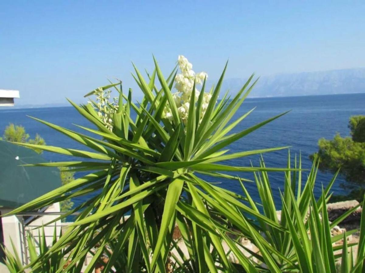 Holiday House Jakov Gdinj Εξωτερικό φωτογραφία