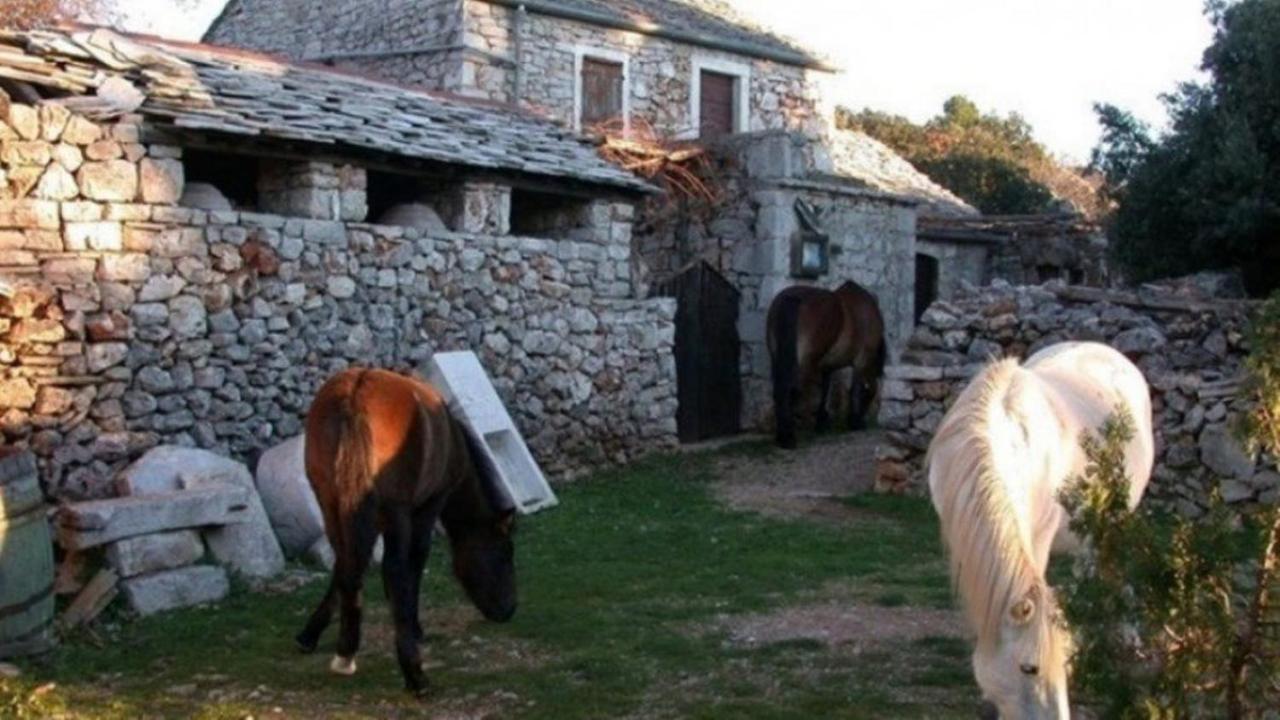Holiday House Jakov Gdinj Εξωτερικό φωτογραφία
